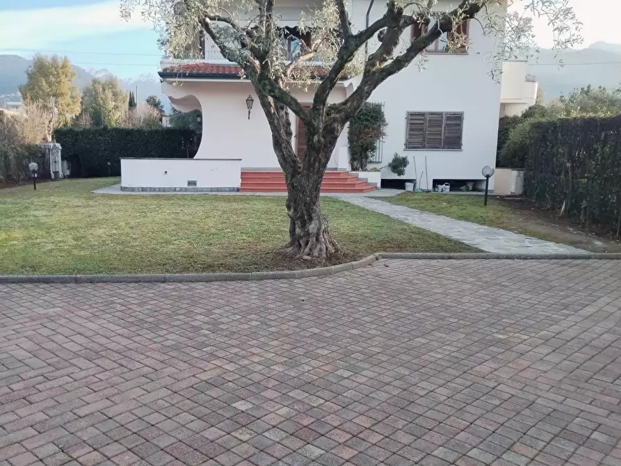 Immagine 11 di Appartamento in vendita  a Massa