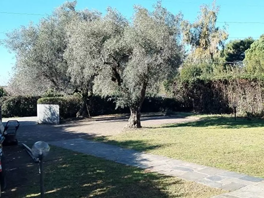 Immagine 5 di Appartamento in vendita  a Massa