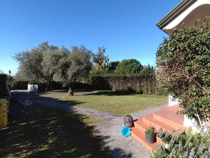 Immagine 6 di Appartamento in vendita  a Massa