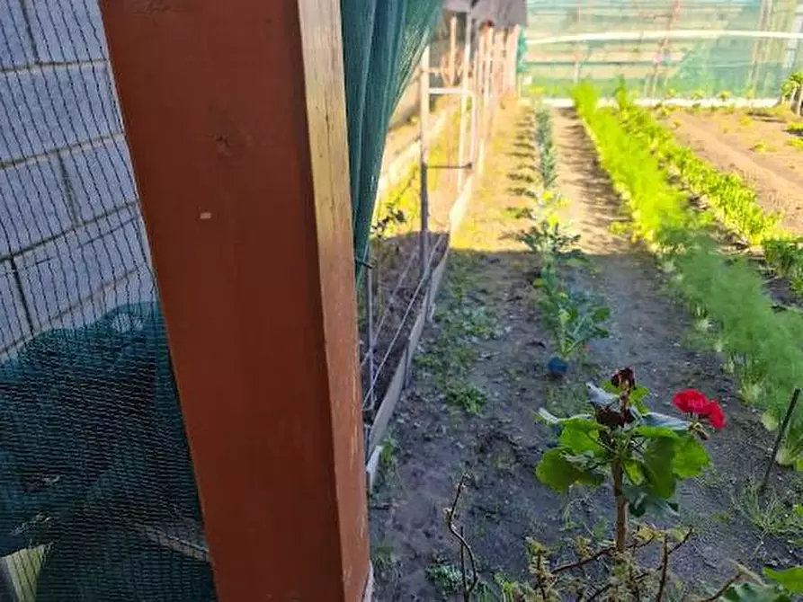 Immagine 7 di Casa semindipendente in vendita  a Carrara