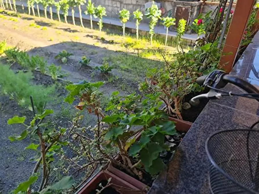 Immagine 8 di Casa semindipendente in vendita  a Carrara