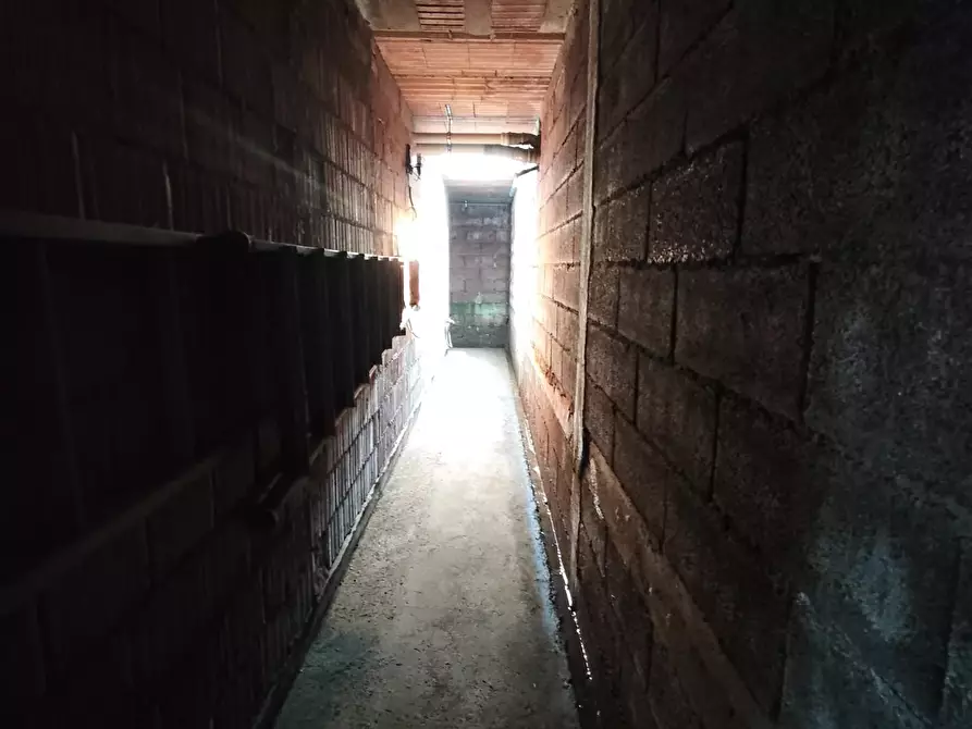 Immagine 20 di Villa in vendita  a Lucca