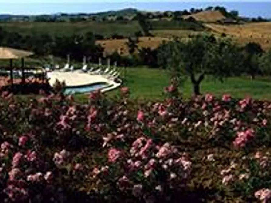 Immagine 1 di Terreno agricolo in vendita  a Grosseto