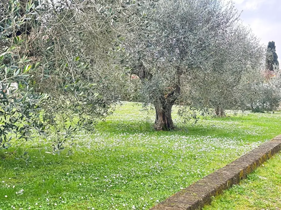 Immagine 31 di Villa in vendita  a San Miniato