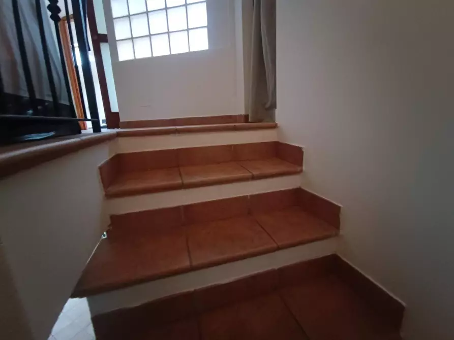 Immagine 24 di Appartamento in vendita  a Massa