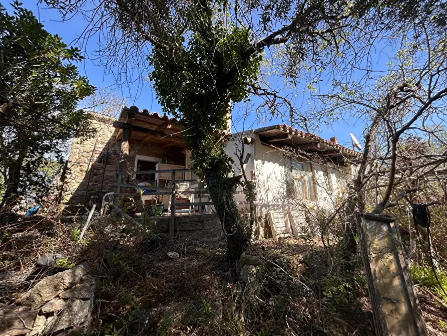 Immagine 47 di Casa colonica in vendita  a Aglientu