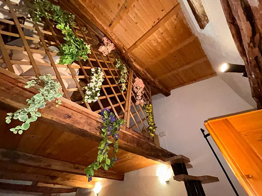 Immagine 22 di Casa colonica in vendita  a Aglientu