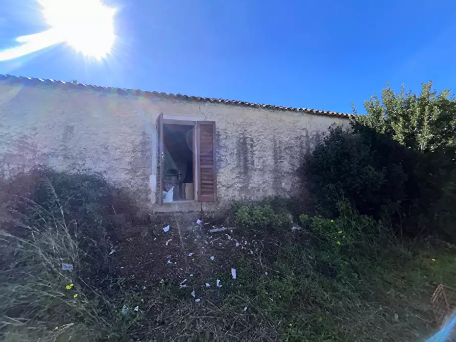 Immagine 29 di Casa colonica in vendita  a Aglientu