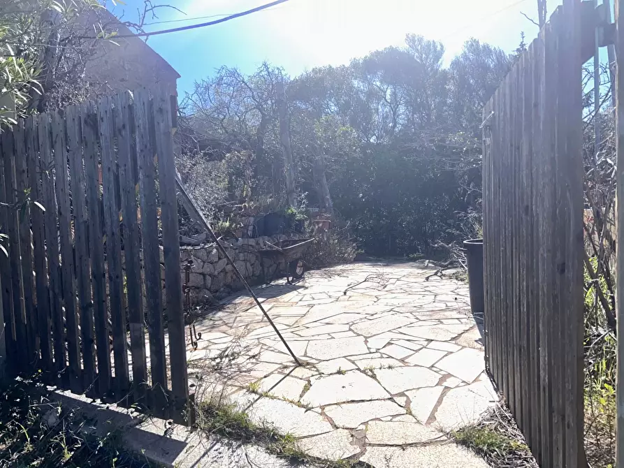 Immagine 2 di Casa colonica in vendita  a Aglientu