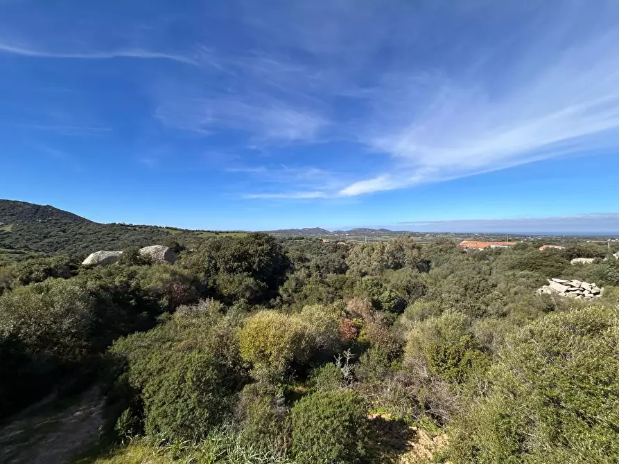 Immagine 42 di Casa colonica in vendita  a Aglientu