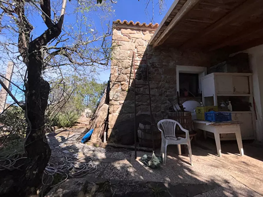Immagine 31 di Casa colonica in vendita  a Aglientu