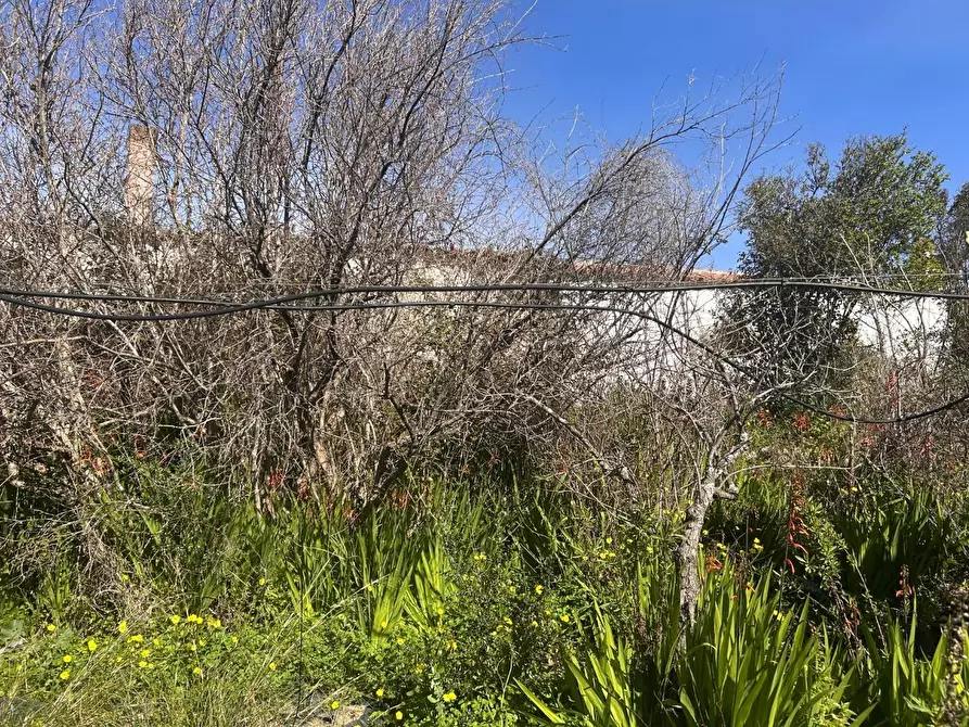 Immagine 49 di Casa colonica in vendita  a Aglientu