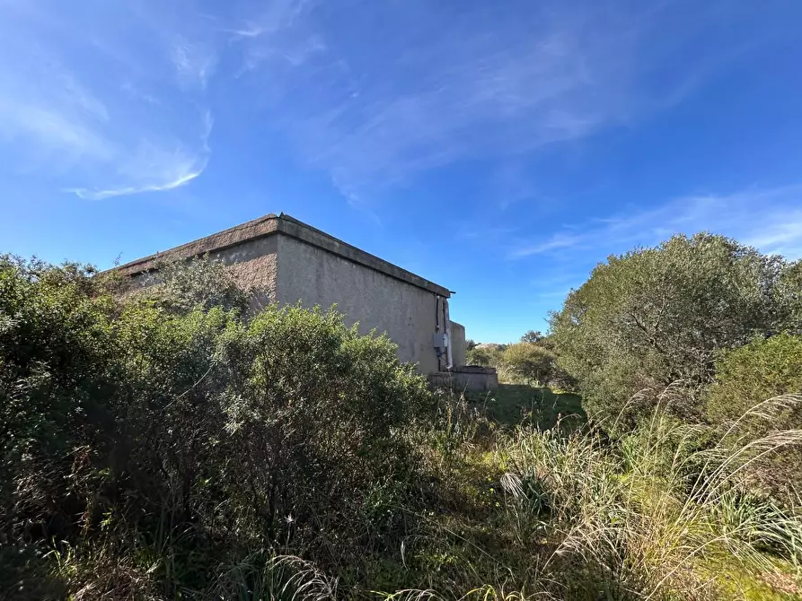 Immagine 39 di Casa colonica in vendita  a Aglientu