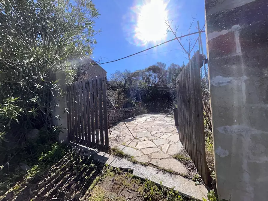 Immagine 3 di Casa colonica in vendita  a Aglientu