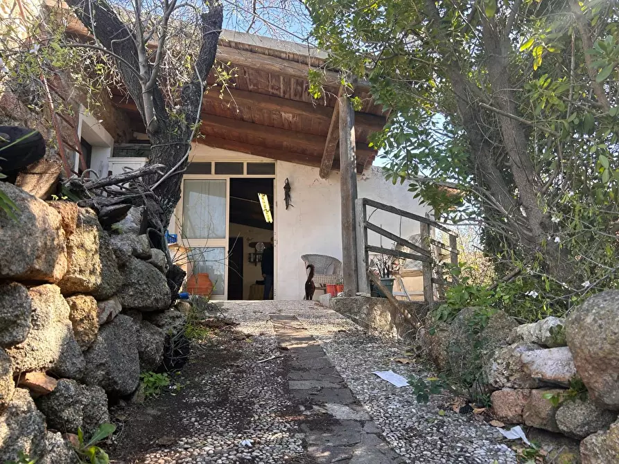 Immagine 52 di Casa colonica in vendita  a Aglientu