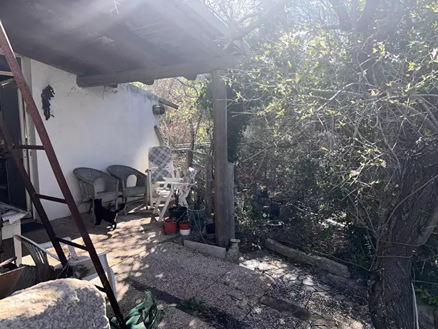 Immagine 32 di Casa colonica in vendita  a Aglientu