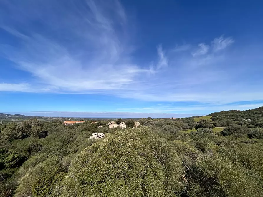 Immagine 36 di Casa colonica in vendita  a Aglientu