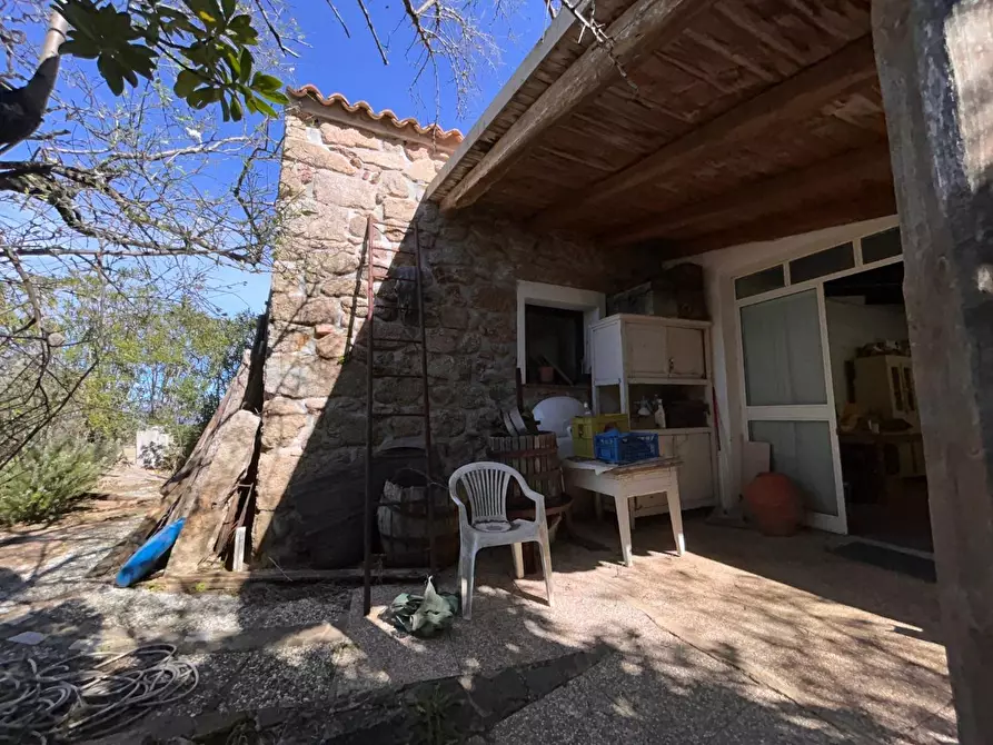 Immagine 30 di Casa colonica in vendita  a Aglientu