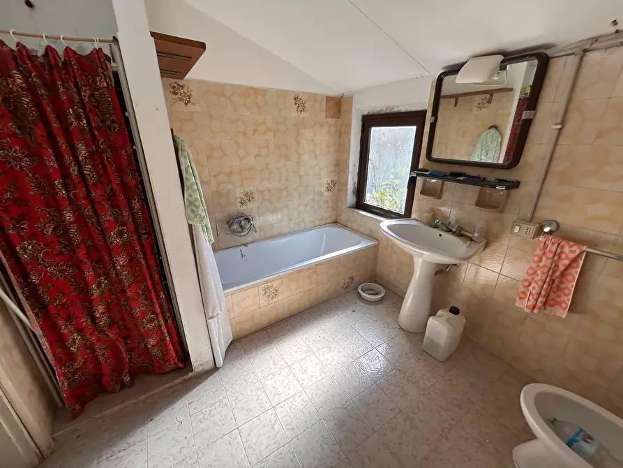 Immagine 8 di Casa colonica in vendita  a Aglientu