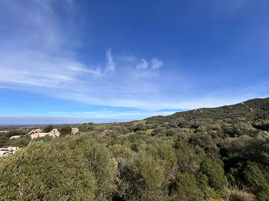 Immagine 37 di Casa colonica in vendita  a Aglientu