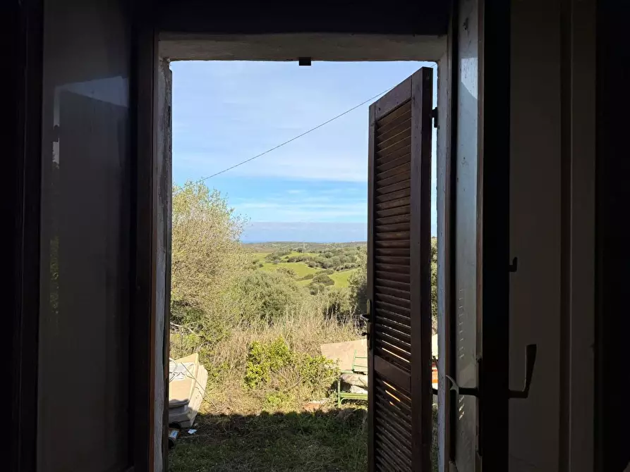 Immagine 14 di Casa colonica in vendita  a Aglientu