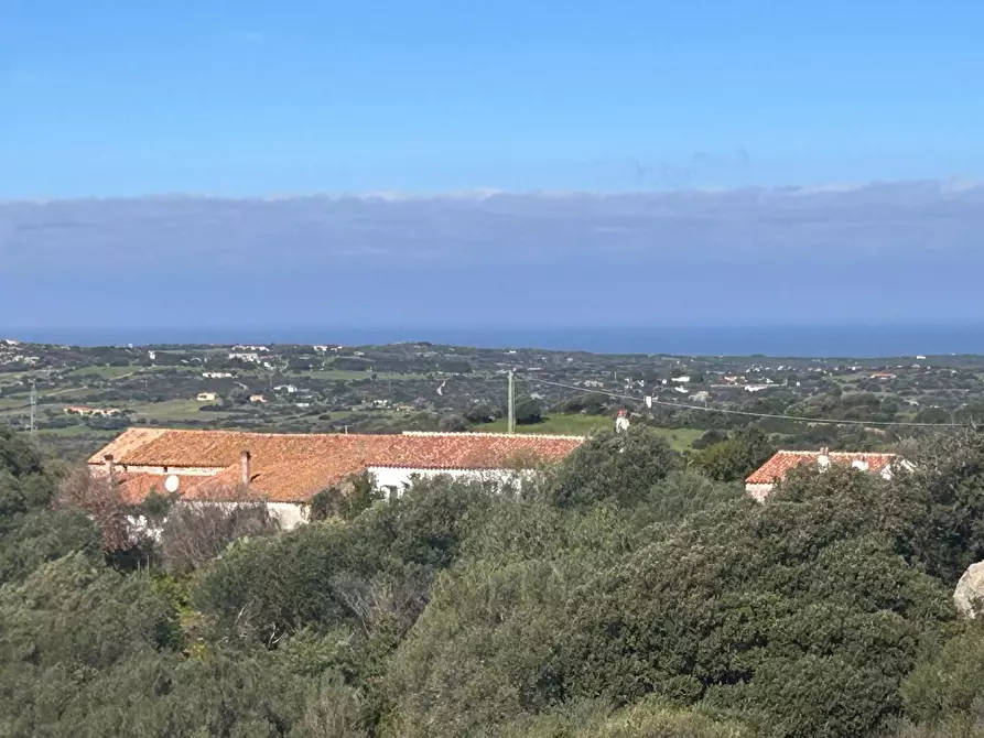 Immagine 45 di Casa colonica in vendita  a Aglientu