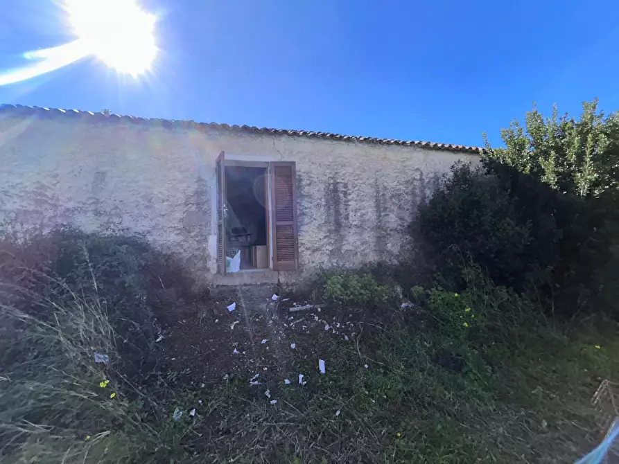 Immagine 27 di Casa colonica in vendita  a Aglientu