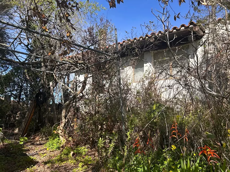 Immagine 50 di Casa colonica in vendita  a Aglientu