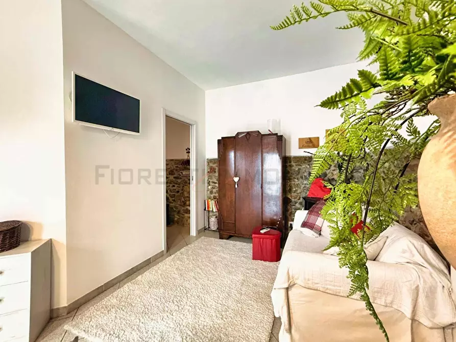 Immagine 21 di Appartamento in vendita  a Suvereto