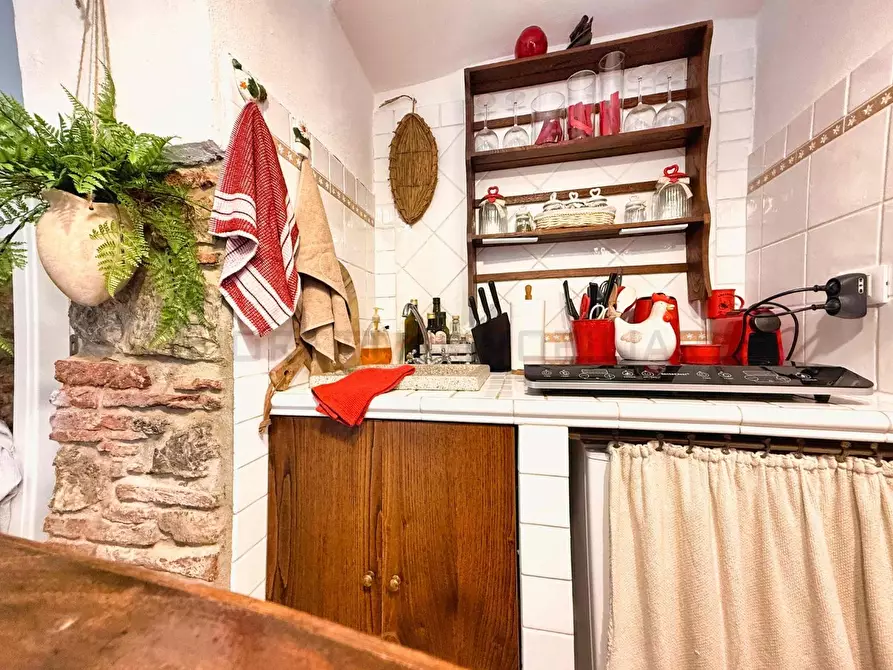 Immagine 20 di Appartamento in vendita  a Suvereto