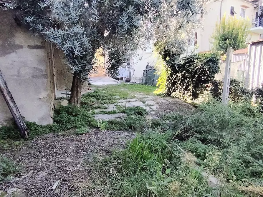 Immagine 8 di Terratetto in vendita  a Casciana Terme Lari