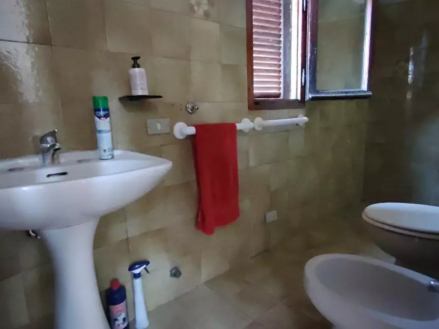 Immagine 19 di Terratetto in vendita  a Casciana Terme Lari