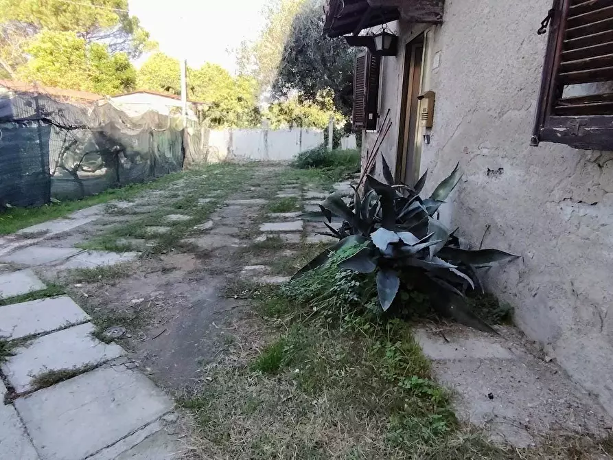 Immagine 15 di Terratetto in vendita  a Casciana Terme Lari