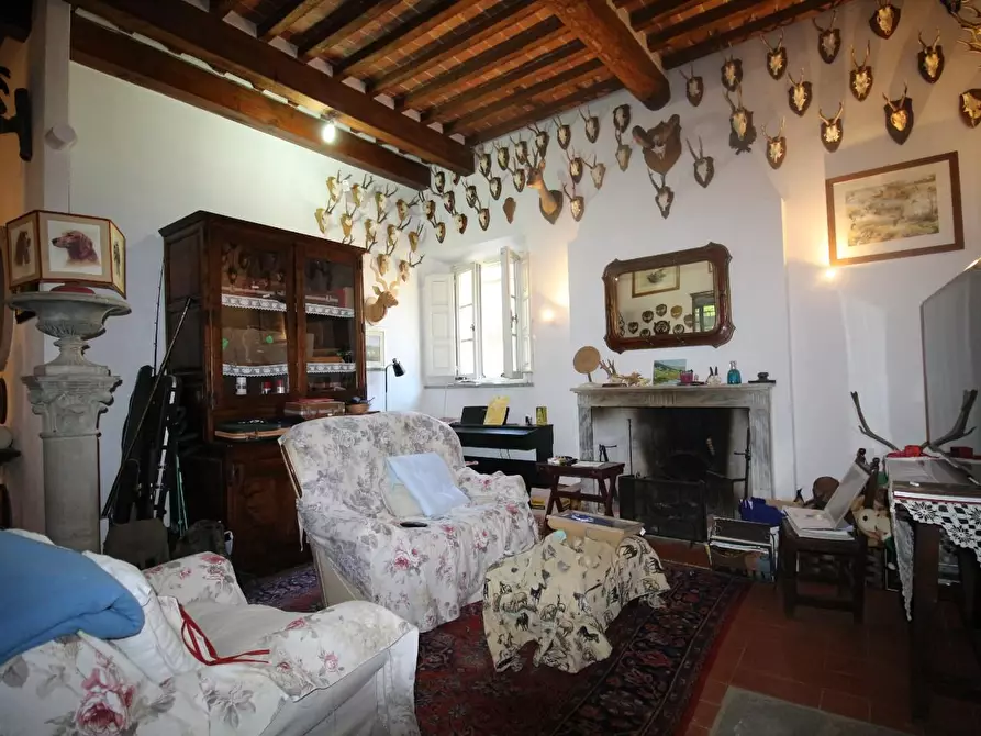 Immagine 25 di Casa colonica in vendita  a Pisa