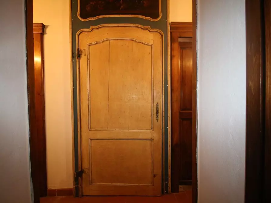 Immagine 24 di Casa colonica in vendita  a Pisa