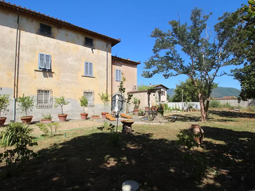 Immagine 39 di Casa colonica in vendita  a Pisa
