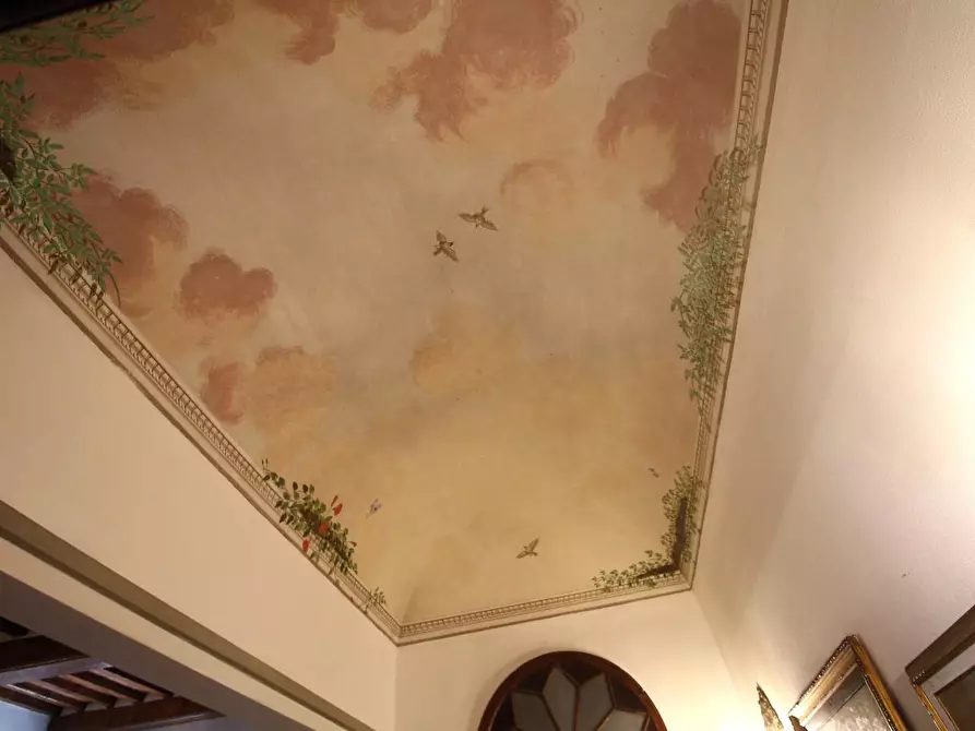 Immagine 34 di Casa colonica in vendita  a Pisa