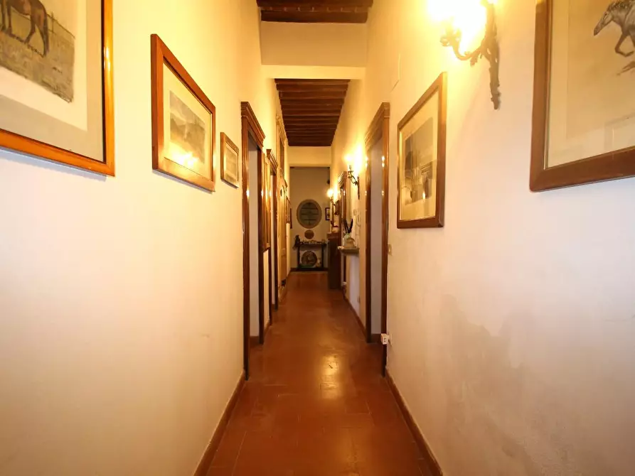 Immagine 21 di Casa colonica in vendita  a Pisa