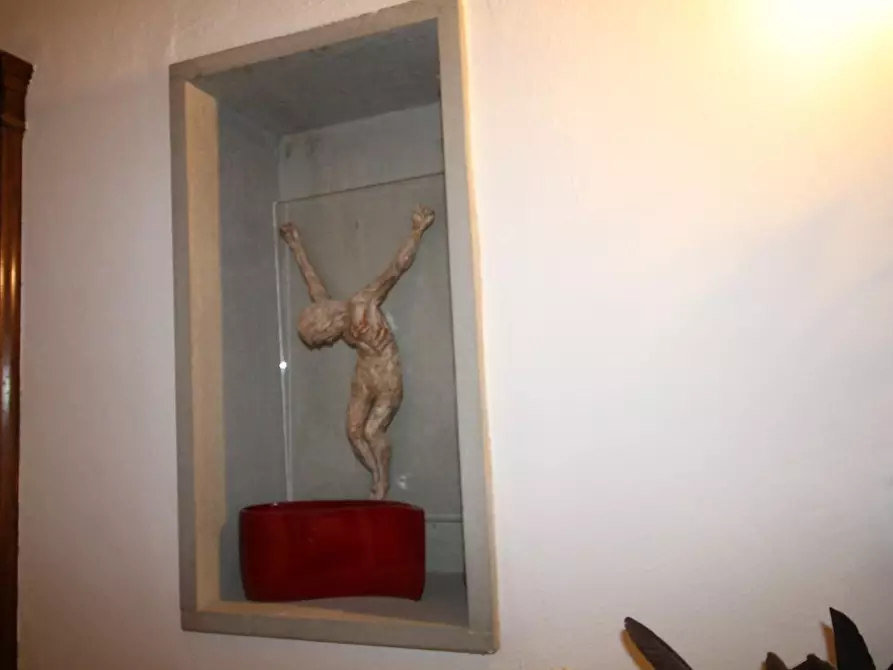 Immagine 36 di Casa colonica in vendita  a Pisa