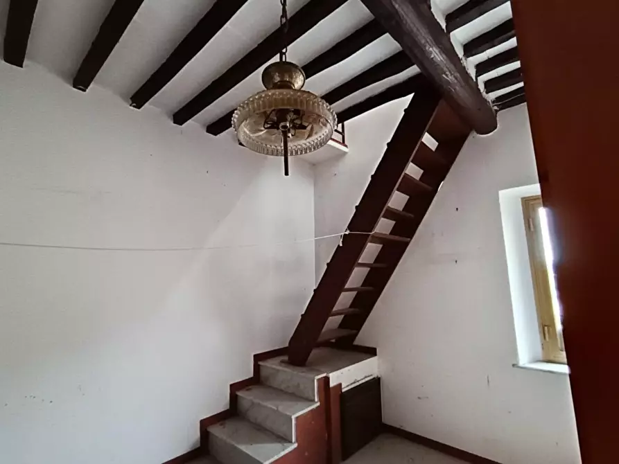 Immagine 10 di Terratetto in vendita  a Rosignano Marittimo