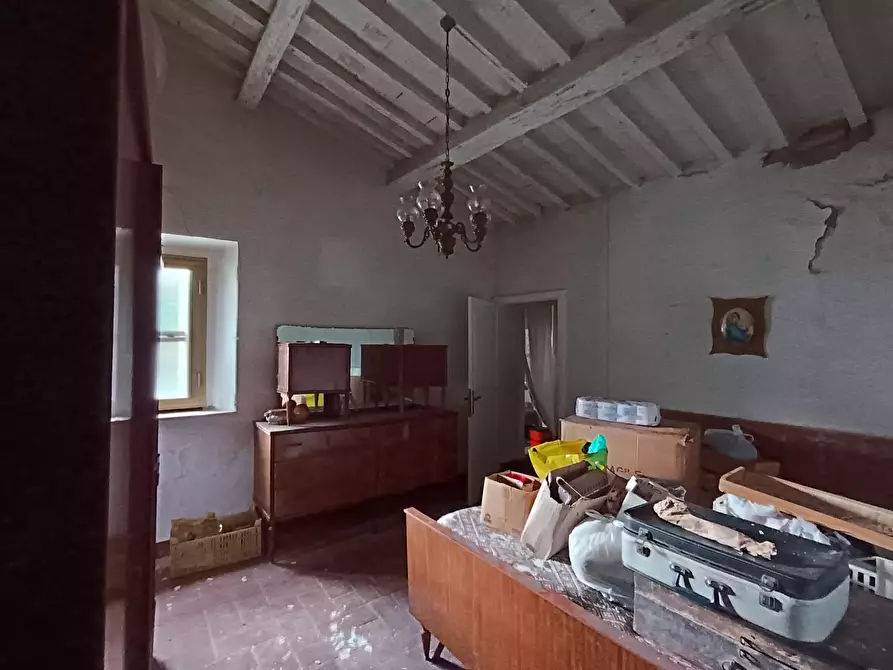 Immagine 19 di Terratetto in vendita  a Rosignano Marittimo