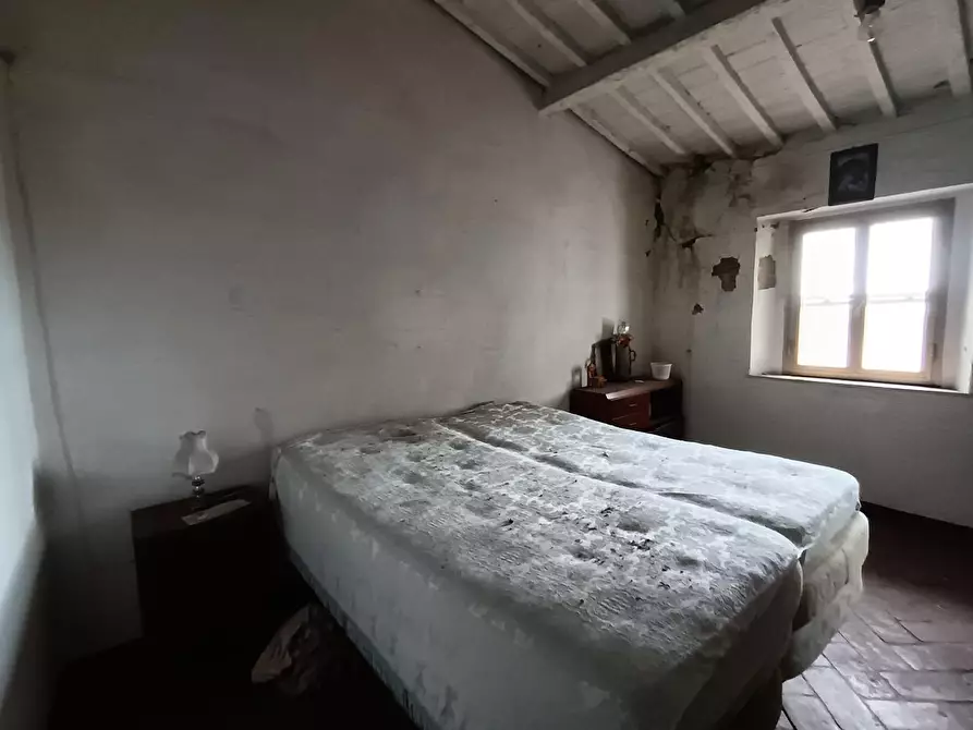 Immagine 18 di Terratetto in vendita  a Rosignano Marittimo