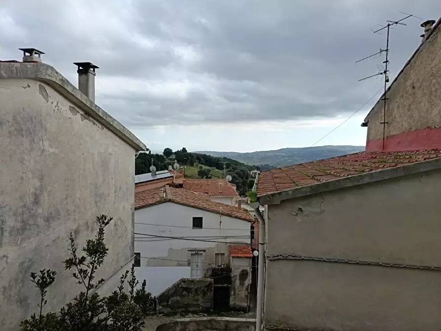 Immagine 2 di Terratetto in vendita  a Rosignano Marittimo