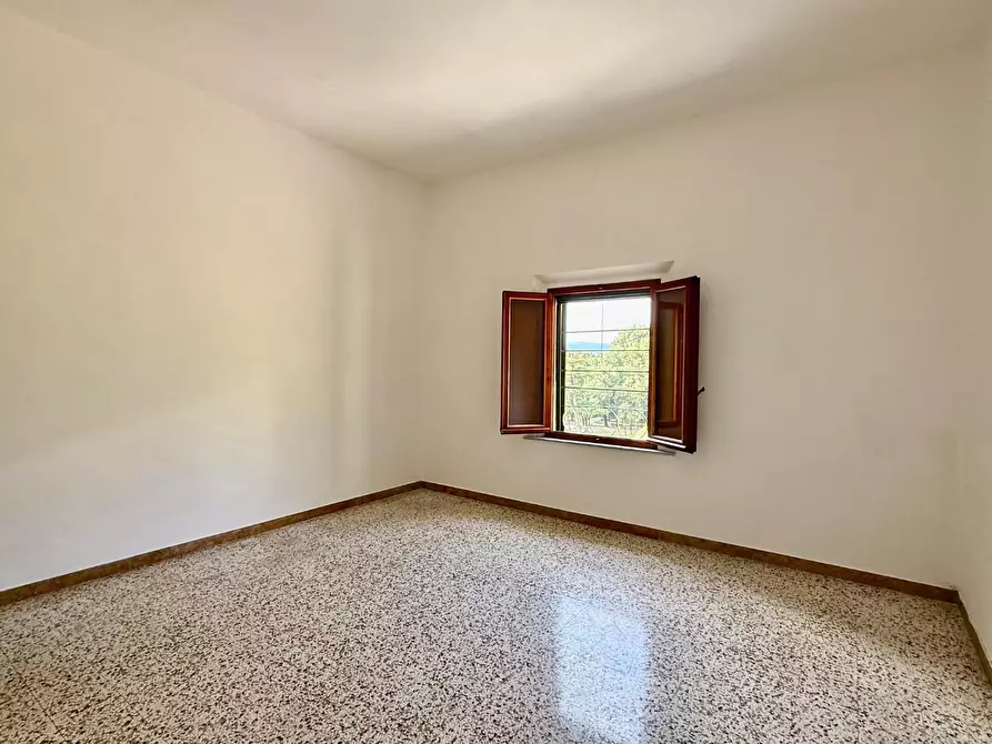 Immagine 7 di Appartamento in vendita  a Peccioli