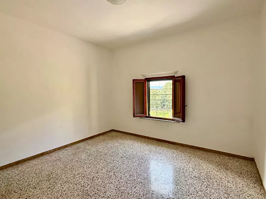 Immagine 6 di Appartamento in vendita  a Peccioli