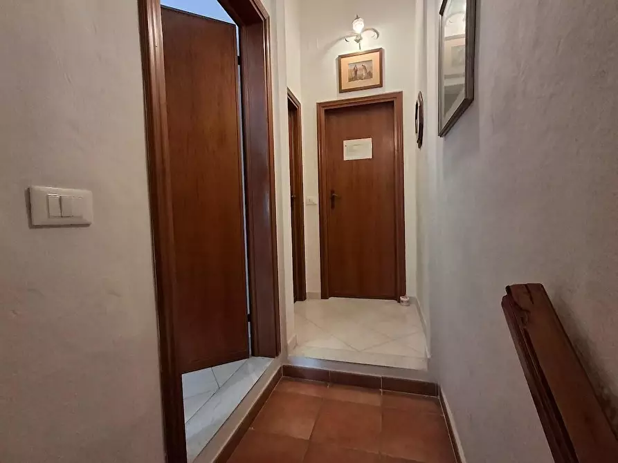 Immagine 7 di Terratetto in affitto  a Pisa