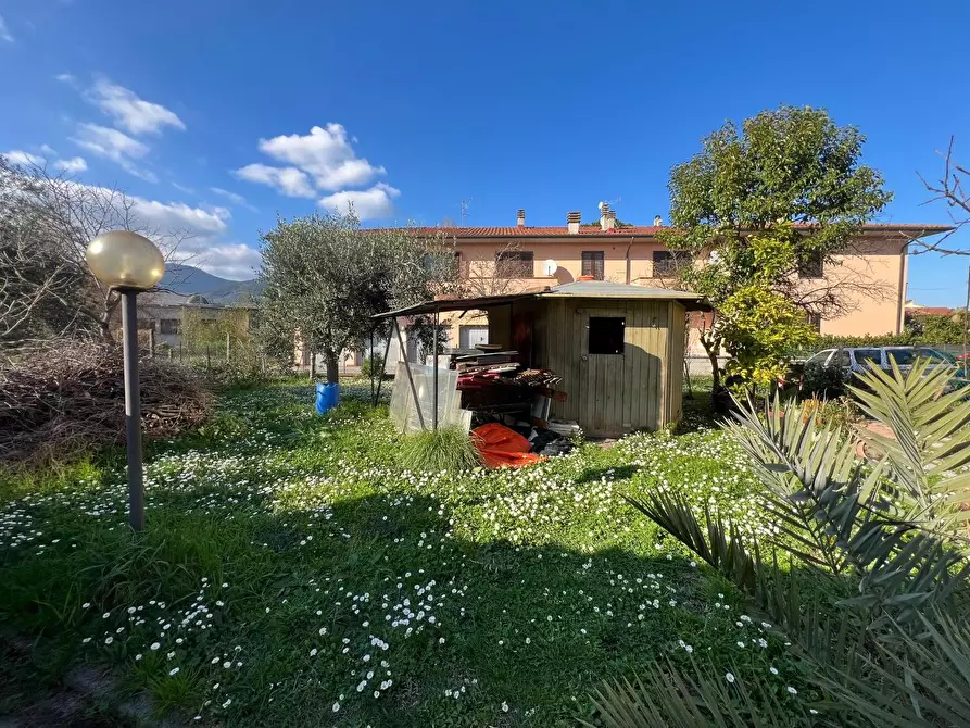 Immagine 11 di Appartamento in vendita  a Bientina