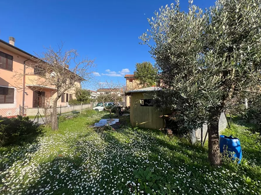 Immagine 7 di Appartamento in vendita  a Bientina