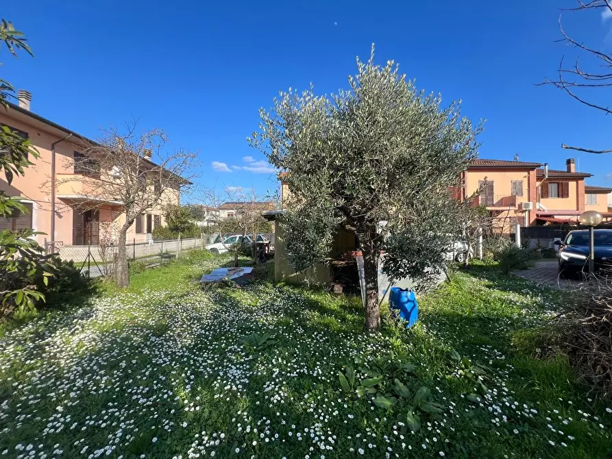 Immagine 6 di Appartamento in vendita  a Bientina