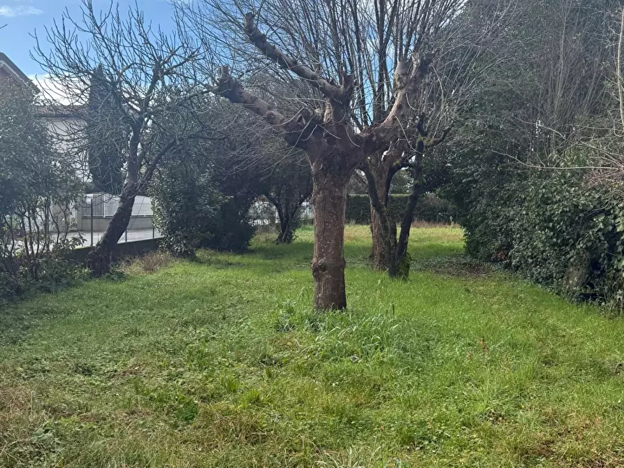 Immagine 10 di Porzione di casa in vendita  a Camaiore